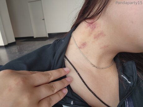 Pandaparty15 限定モデル 写真