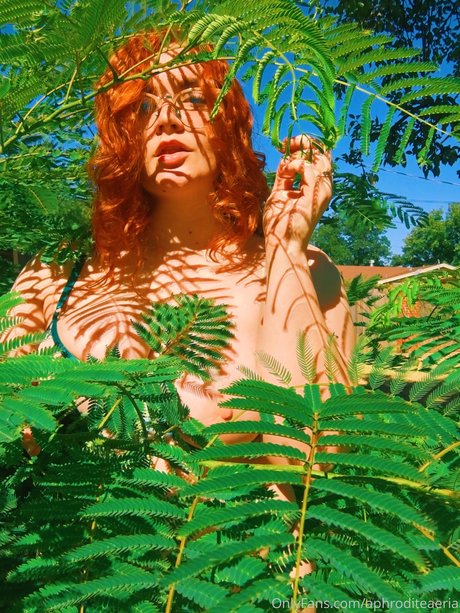 不明なファン アダルト 写真