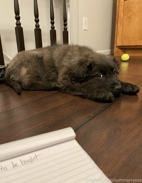 Summerreese 素敵なモデル 写真