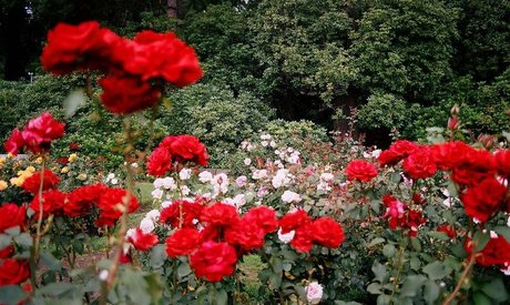 Emma Vauxdevil エロティックなポルノスター 写真