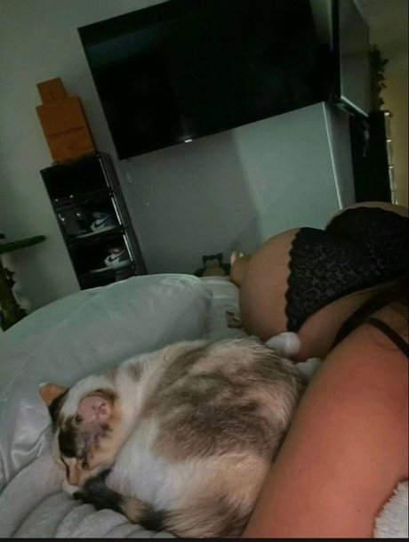 GMayaOF 高品質のスター 写真