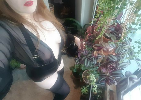 anabalfe スターセックス 写真