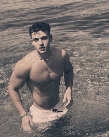 Leo Gym ホットなスター 画像