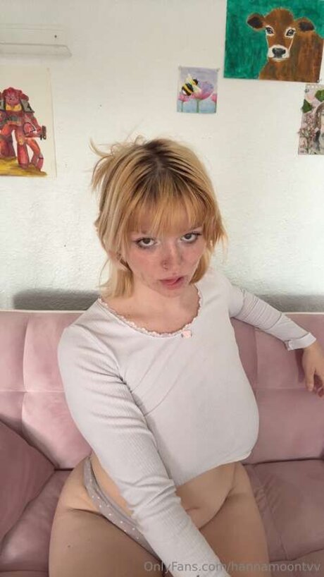 Hannamoontvv 美しいポルノスター 写真