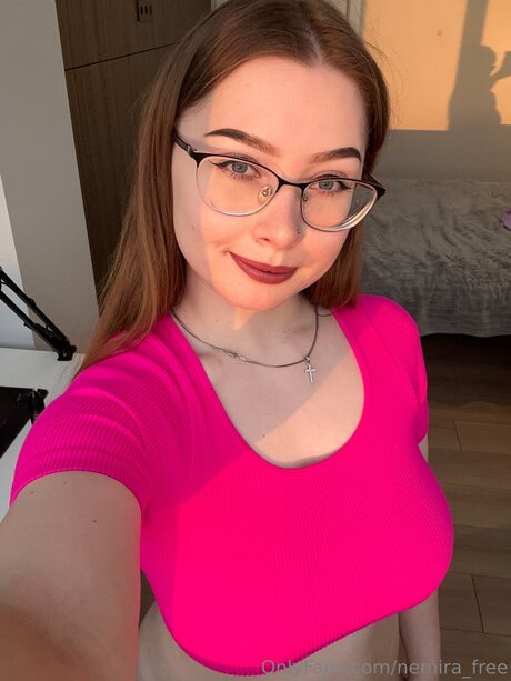 Nemira Free アートスター 画像