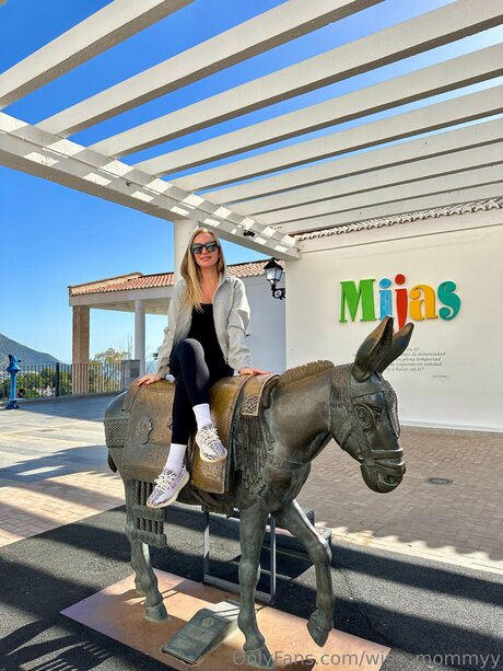 Wise Mommyy 最高のスター 写真