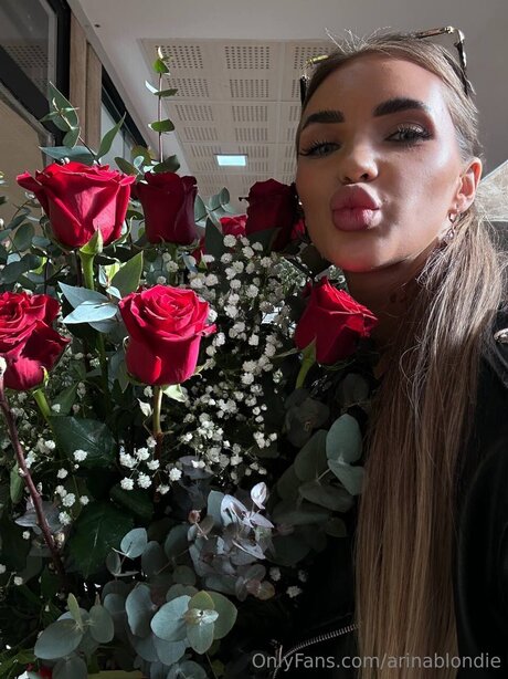 Arinablondie エロティックなスター アーカイブ