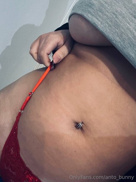 ブッシュ・オンリーファンズ 無料 ギャラリー