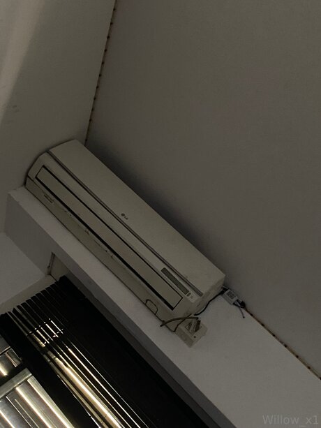 Rdk Willow ポルノスター 美しい 写真