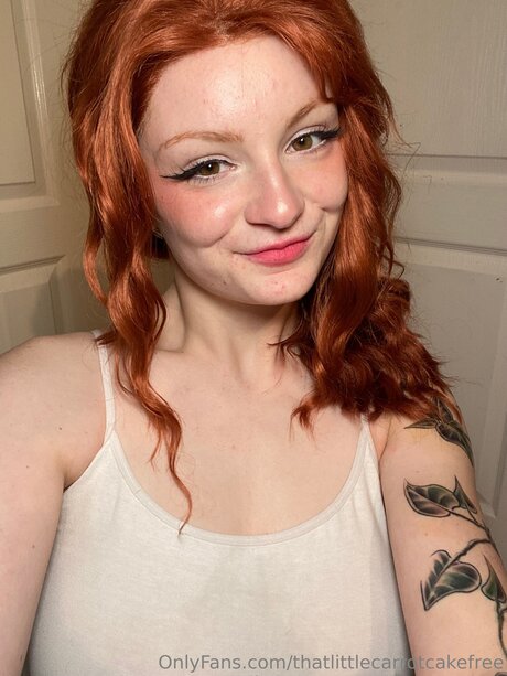 Thatlittlecarrotcakefree 素敵なポルノスター 写真