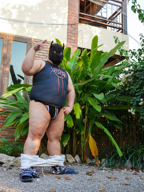 クーガーオンリーファンズ えろ 写真