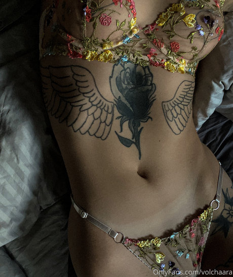 _volchara 無料のスター 写真