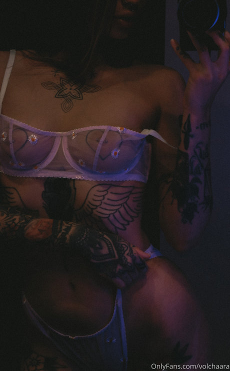 家族限定ファン 限定 アーカイブ