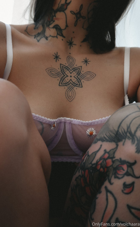 _volchara アートスター 写真