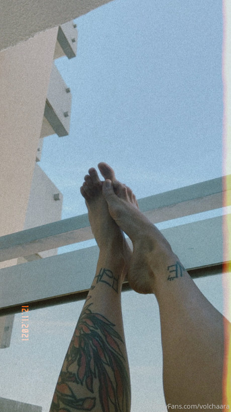 _volchara 無料のスター 写真