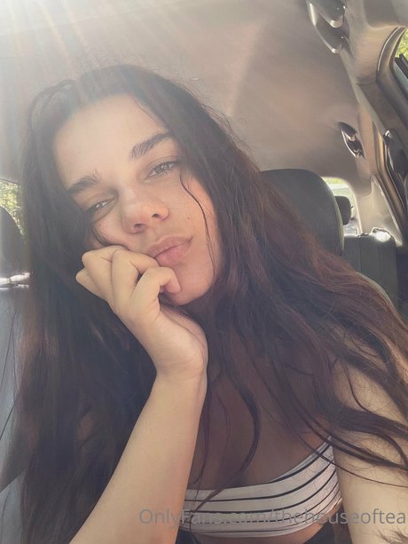 Ana Vavx 完璧なスター 画像