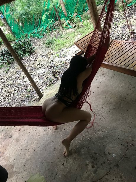 Risrose HDスター 写真