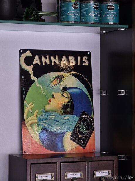 アニメプリンセスOnlyFans 無料 画像