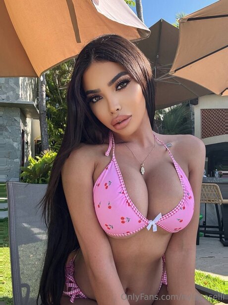 Nylajade HDモデル 画像