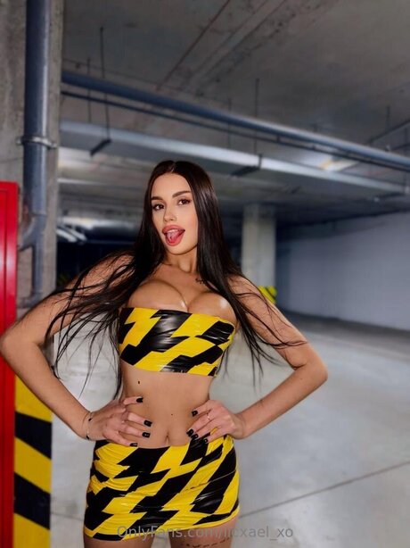 Licxael Xo 完璧なスター 画像