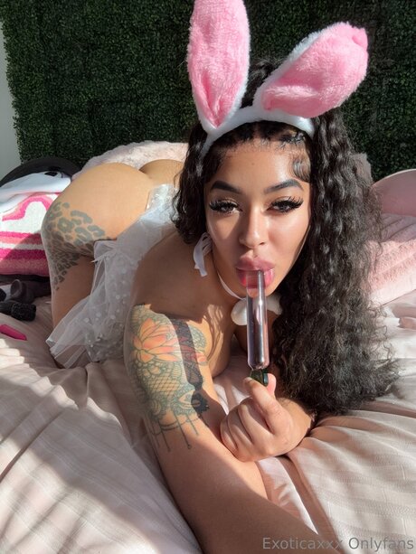 Exoticaxxx ポルノスター 可愛い 画像