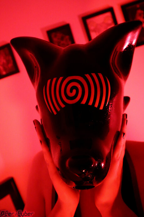 Cericyber ホットスター 画像