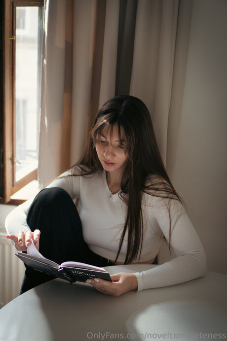 Novelcompleteness トップスター 写真