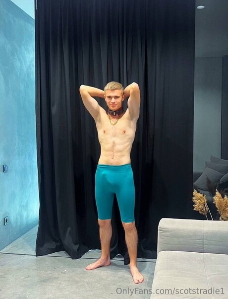 Scotstradie1 最高のポルノスター 写真