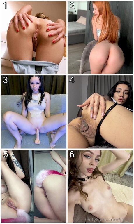 Janyz アートモデル 画像