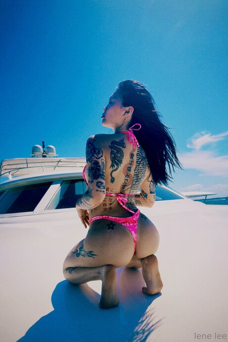 Lenerox アートスター 写真