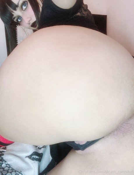 death アートスター 写真