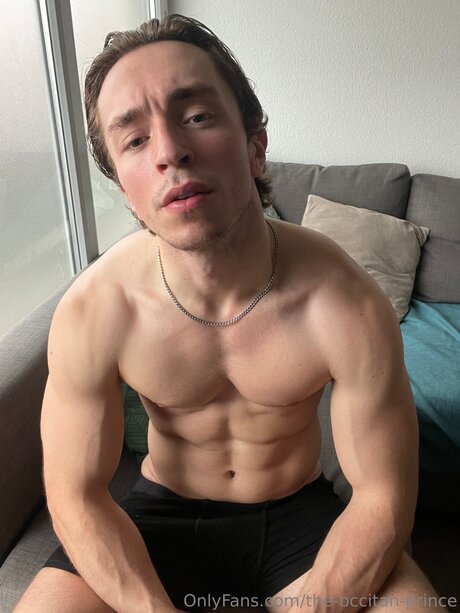 The Occitan Prince Bilder