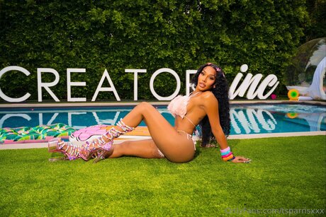 Tsparrisxxx ポルノモデル 画像