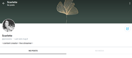 Provocatrix_ ポルノスター エロティック 写真