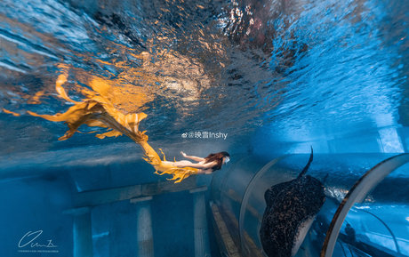 Inshy 最高の女優 写真