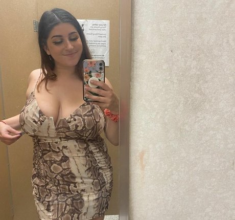 Zucchini 完璧なスター アーカイブ