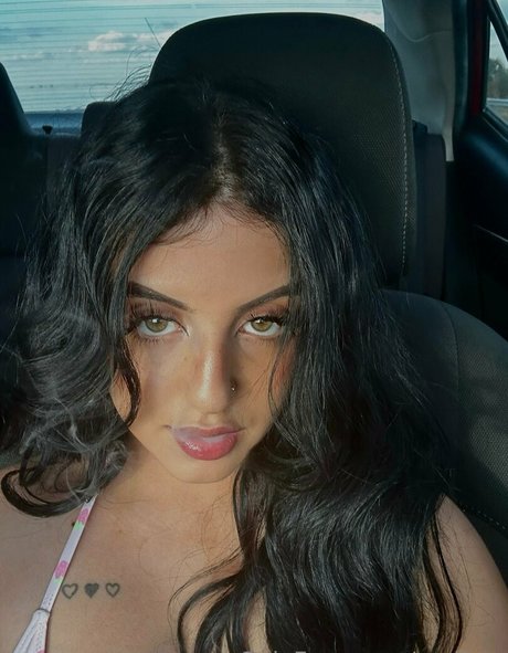 zuribtw HDポルノスター 画像