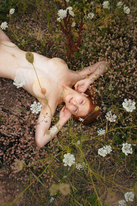 BBCティーンオンリーファンズ アートポルノ 画像