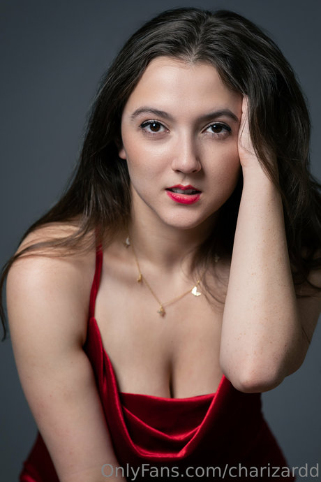 Charizard アートモデル 写真