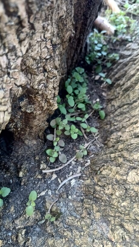 騎乗位熟女OnlyFans 美しいxxx アーカイブ