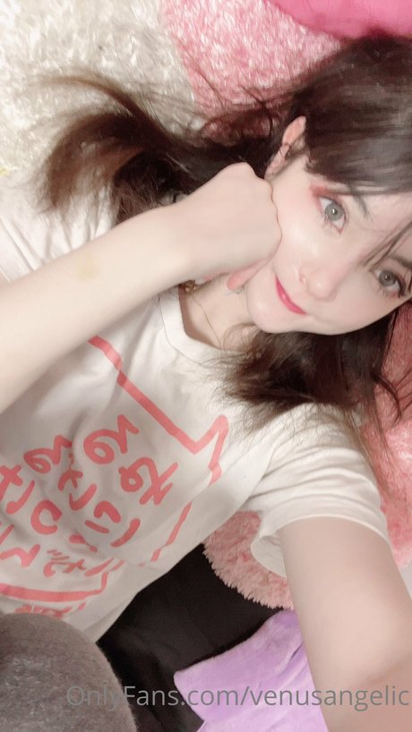 Venus Angelic 素敵なスター ギャラリー