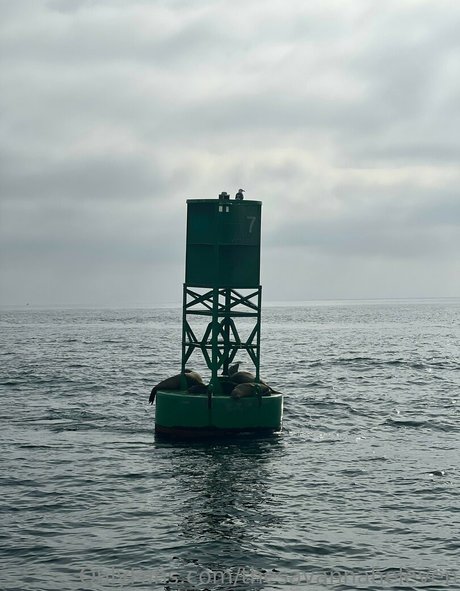 ヌード 屋外 OnlyFans アートポルノ 写真