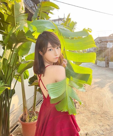 BBWキティOnlyFans ホット裸 ギャラリー