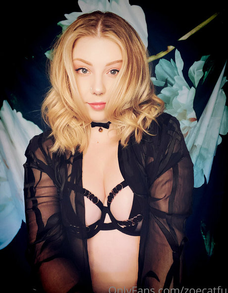 ブッシュ・オンリーファンズ アダルト 写真