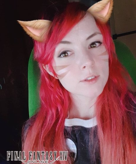 ZeplaHQ ホットスター 写真