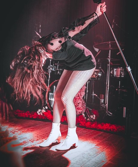 Lauren Mayberry Profilbild