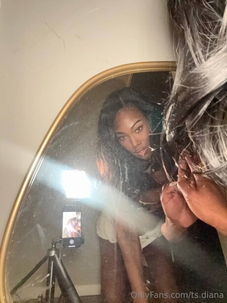 Ts Diana ポルノモデル 画像