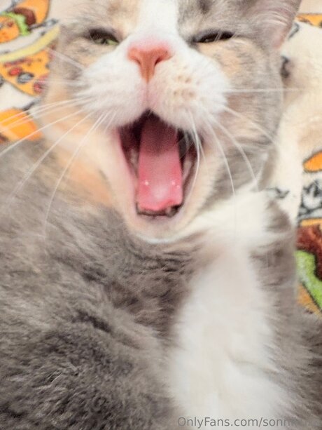 50歳のOnlyFans ポルノ 写真