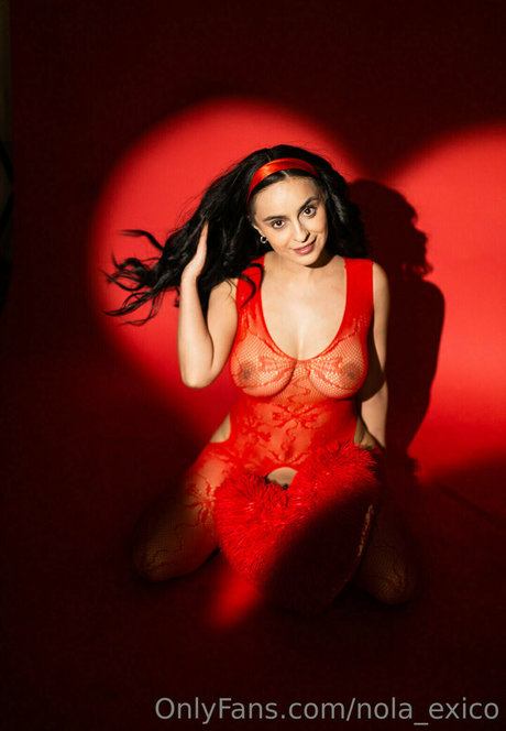 Nola Exico 限定モデル 写真