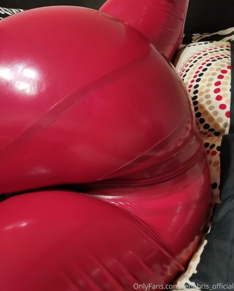 tenebris HDモデル 写真